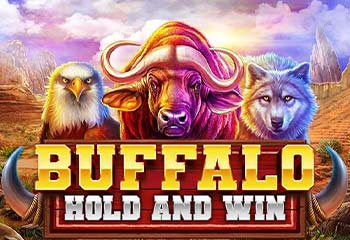 Buffalo Hold and Win